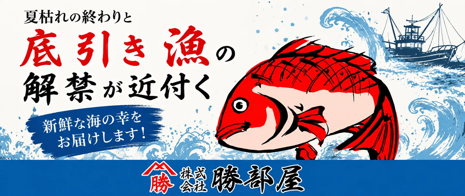出雲の魚がもっと楽しみになる季節へ