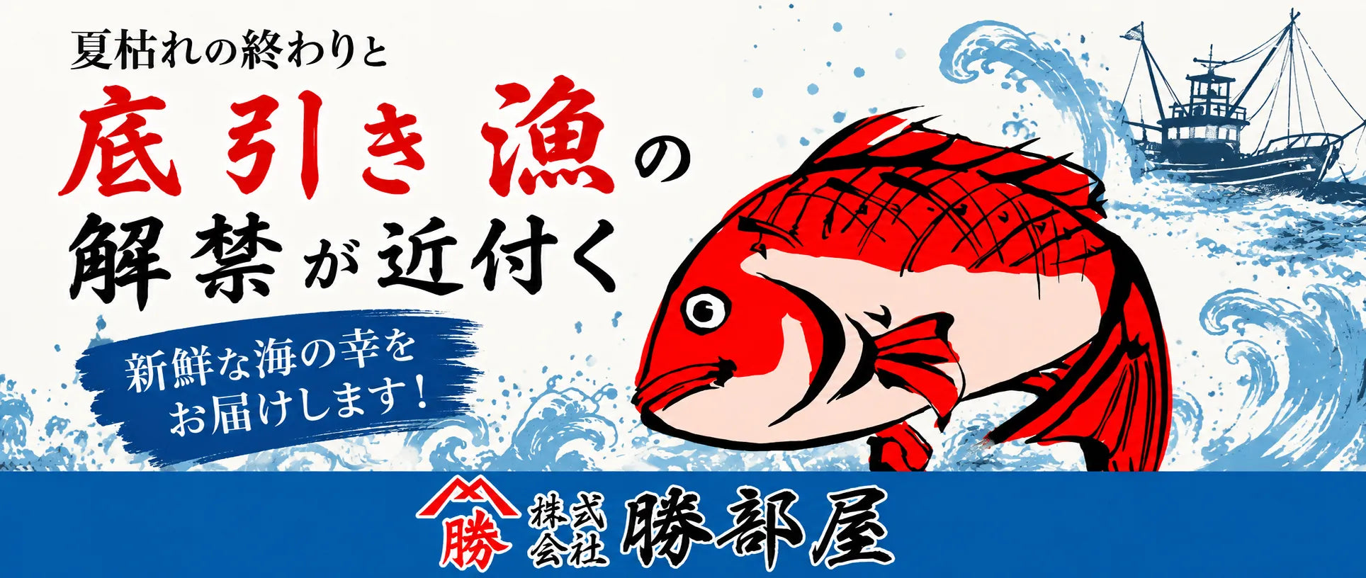 出雲の魚がもっと楽しみになる季節へ