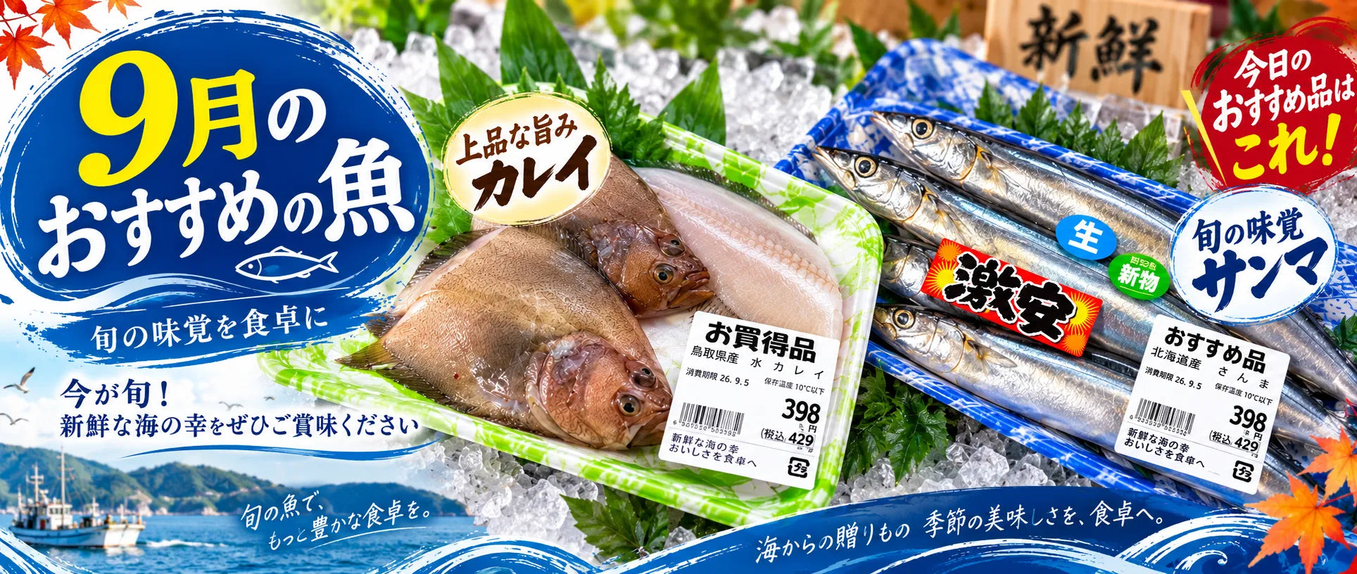 出雲で魚選びに迷ったら｜勝部屋が提案する9月の秋の味覚