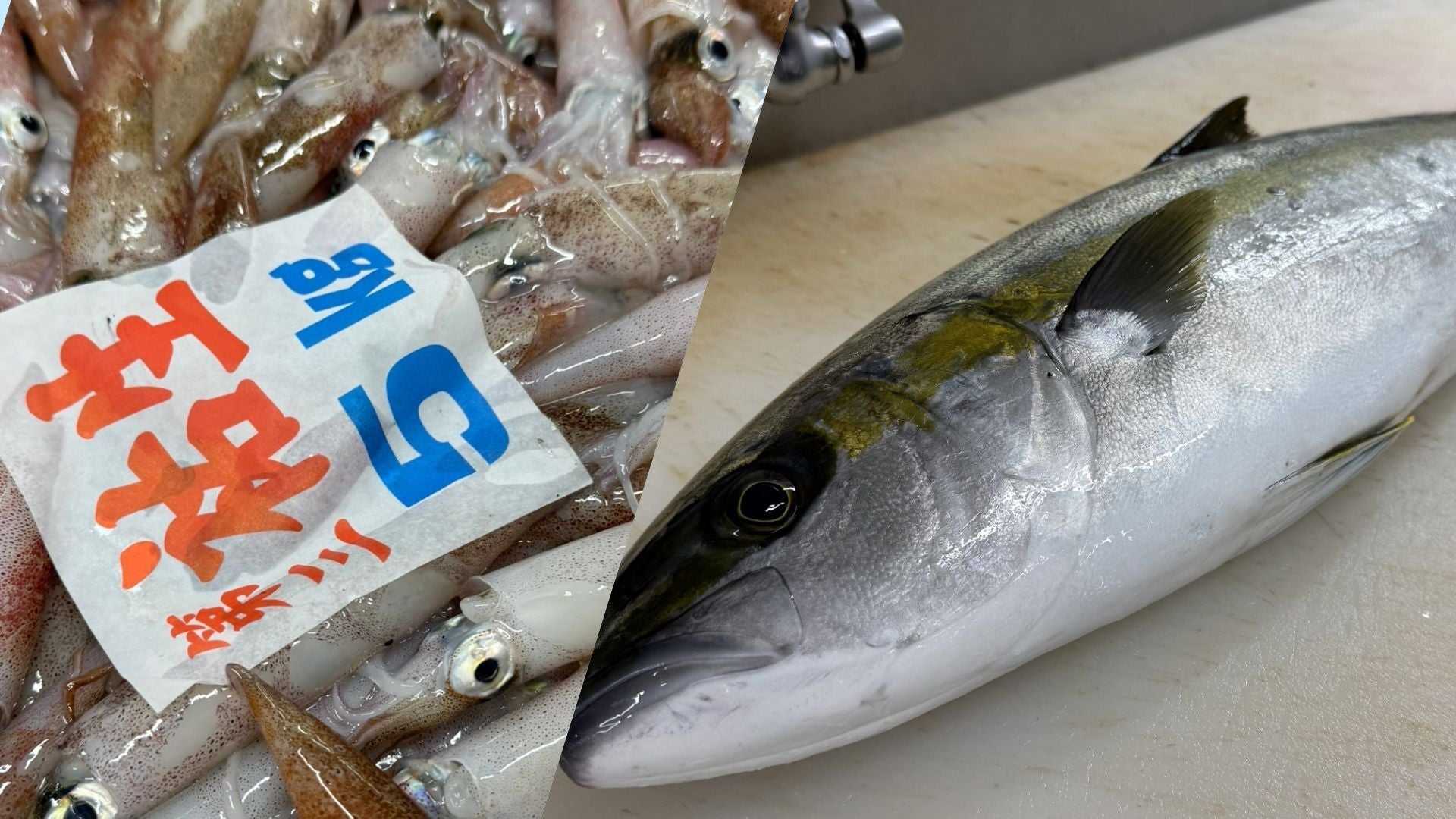 出雲で旬の魚を買うなら勝部屋｜春に食べたいヒラマサ・イカ