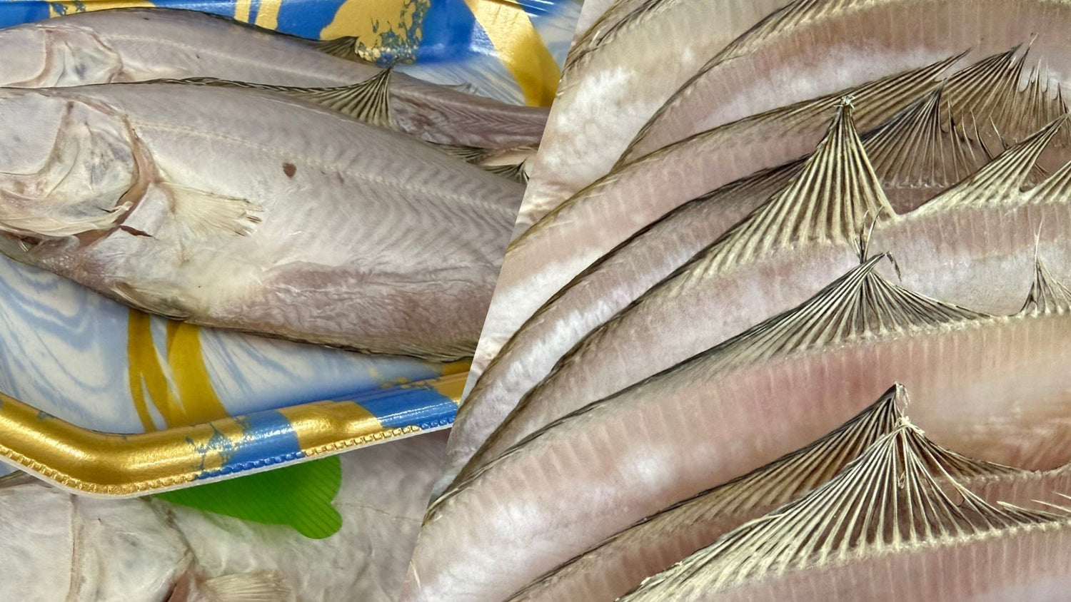 春休みの出雲観光で魚を楽しむなら。出雲大社参拝後に立ち寄りたい老舗鮮魚店「勝部屋」