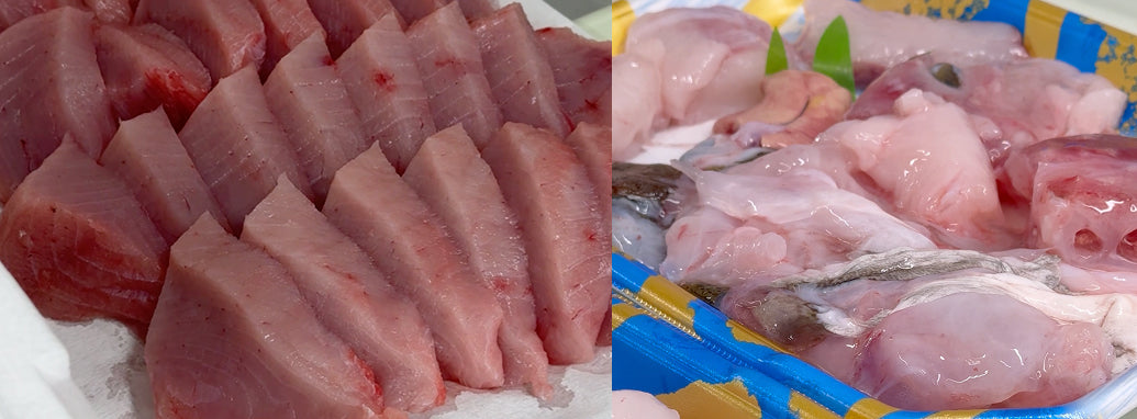 【出雲で珍しい魚を買うなら】サメ・アンコウなど季節の希少魚を取り扱っています