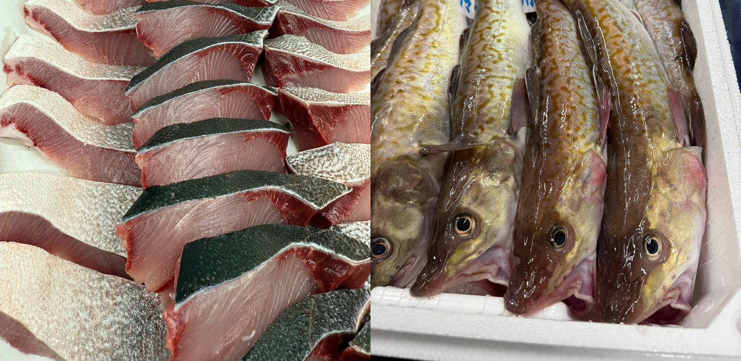 【冬の季節に旬の魚料理で心も体もほぐれるひとときを】