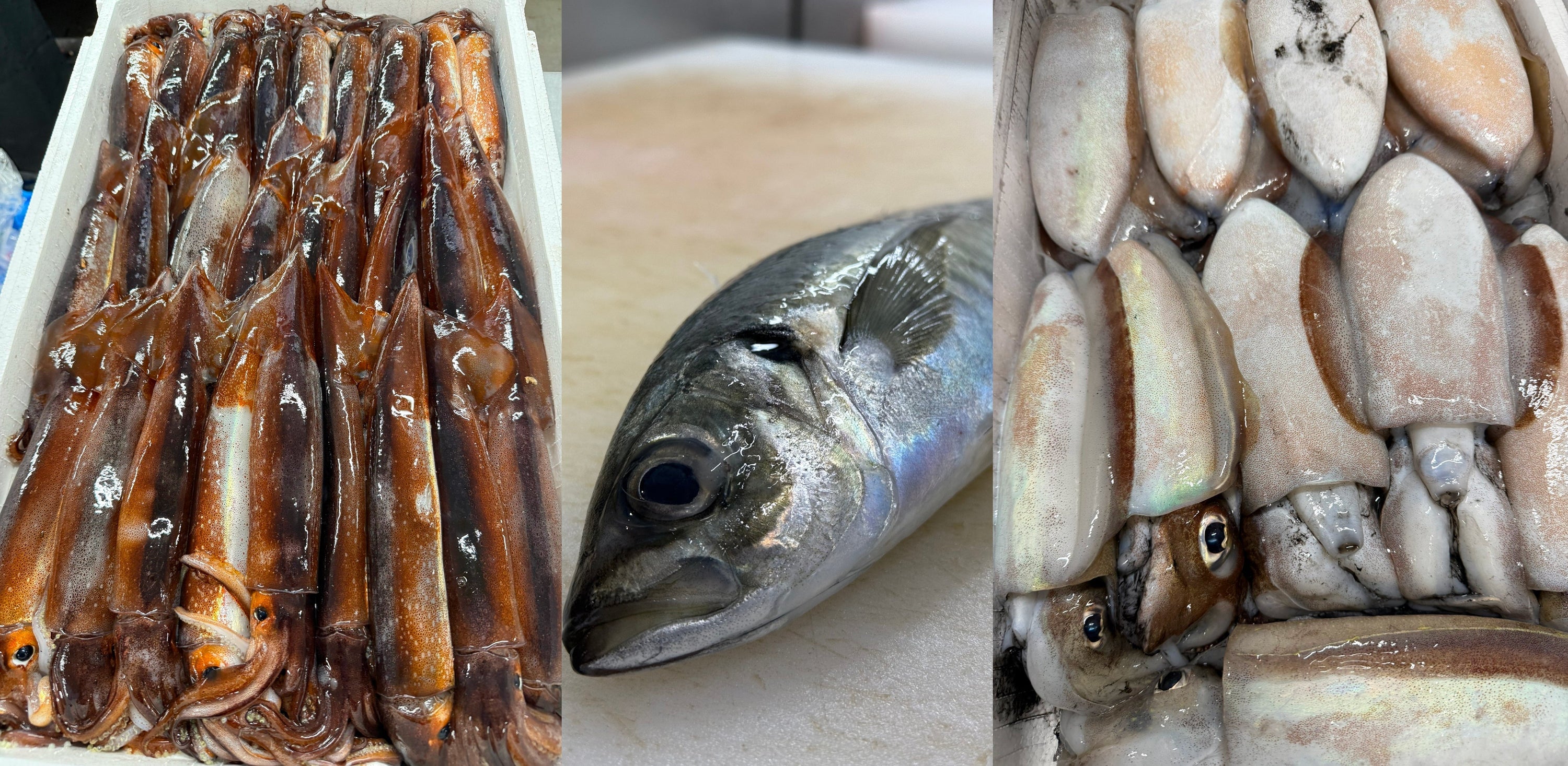 【5月の旬魚】出雲の鮮魚店「勝部屋」から届く、日本海の恵みを食卓に